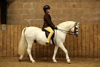 Class 5 - Small Breeds Junior - HOYS Qualifier